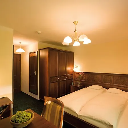 فندق Batzenhaeusl لانس